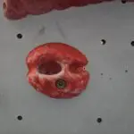 1000007697 1000007697